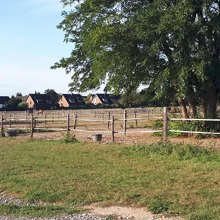 Tonis * 埃克拉特